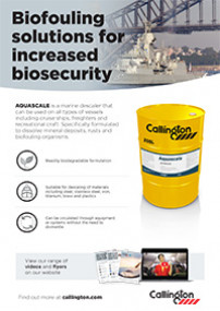 Aquascale Flyer