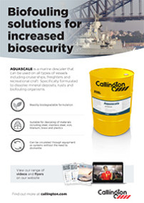 Aquascale Flyer