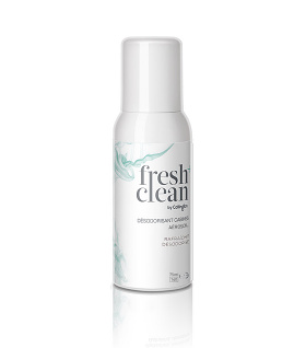 Fresh+Clean Cabin Aerosol Spray